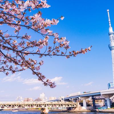 とにかく安くいきたい！3月 東京ツアーイメージ